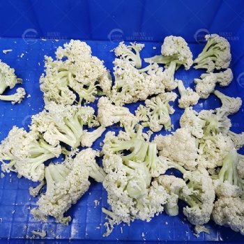 Cauliflower Florets Cutting Machine